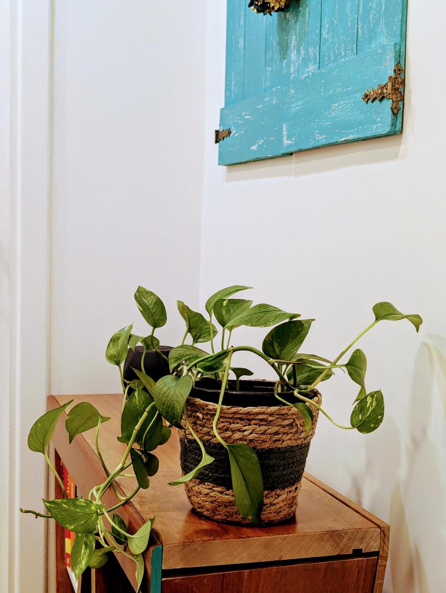 Intrecci & Impasti Apartment Napoli Bagian luar foto